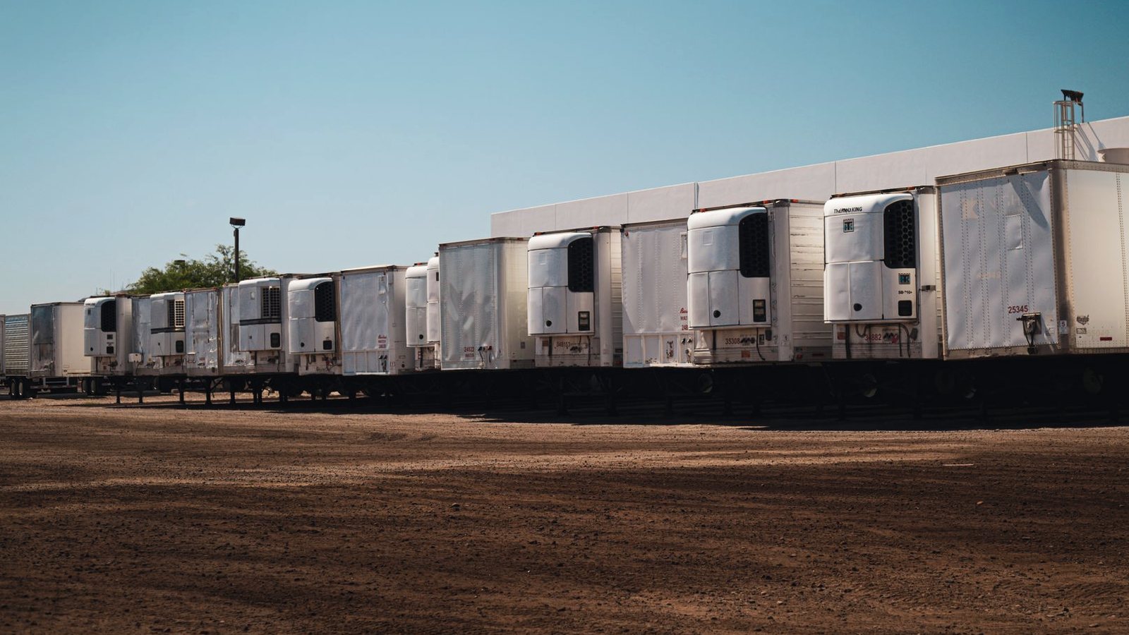Long row of identical white refrigerated trailers parked in a dirt lot under a clear sky